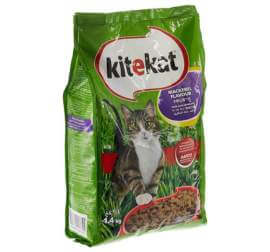 طعام القطط من كايتكات